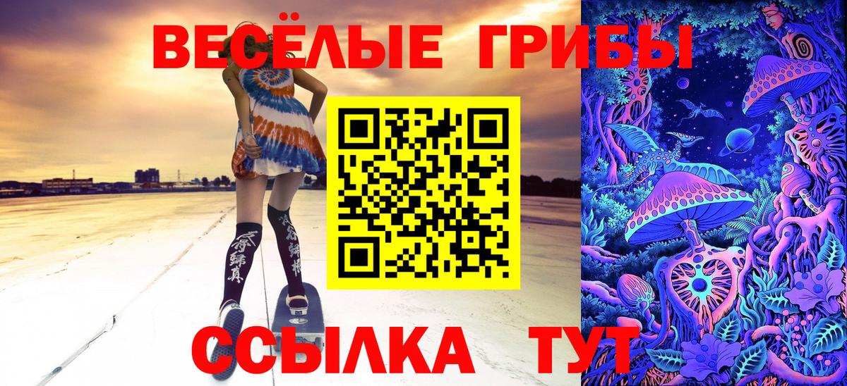 Псилоцибиновые грибы Psilocybine cubensis  Галлюциногенные грибы MAGIC MUSHROOMS  Вход с VPN  Семилуки 